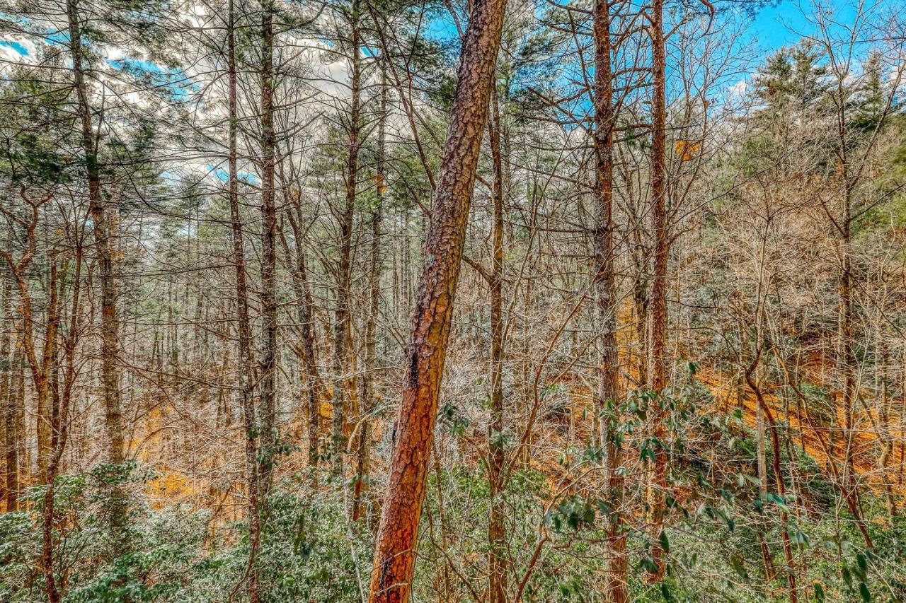 Etowah Blue Ridge Exterior foto